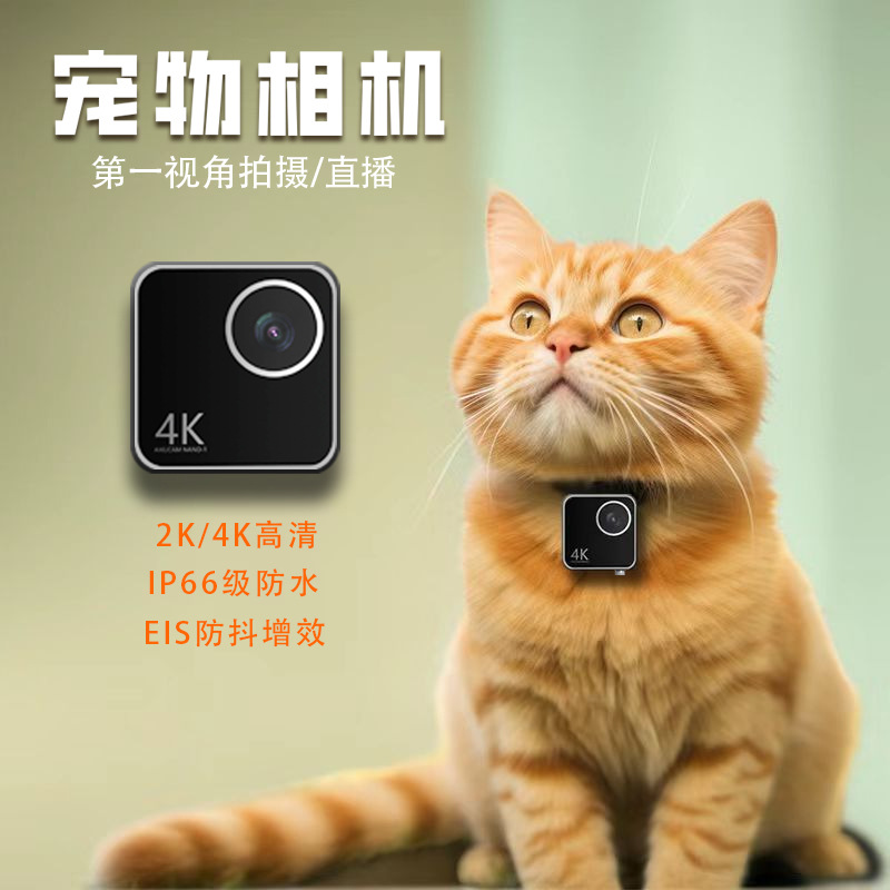 Kamera leher pintar untuk hewa - Cameras ulasan dan harga