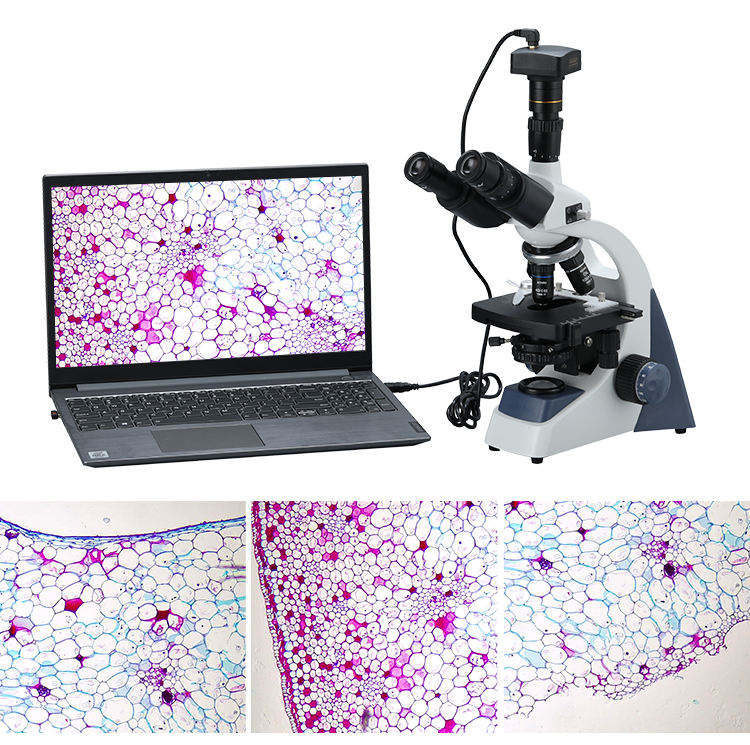 Mikroskop Video Digital Biolog - Cameras ulasan dan harga